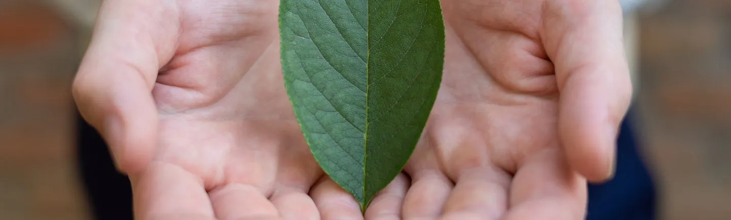 Sustainability