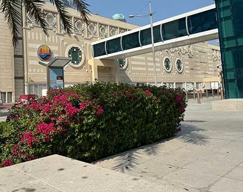 شارك الفريق الإداري لكل من شركة أعمال وسيتي سنتر الدوحة بافتتاح الجسر الجديد للمشاة الذي يربط محطة مترو مركز الدوحة للمعارض والمؤتمرات مباشرة بالمجمع، والذي يمثل علامة فارقة تعزز سهولة الوصول إلى المجمع وتثري تجربة الزوار.